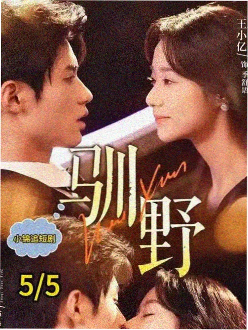 画质规格判断示意
